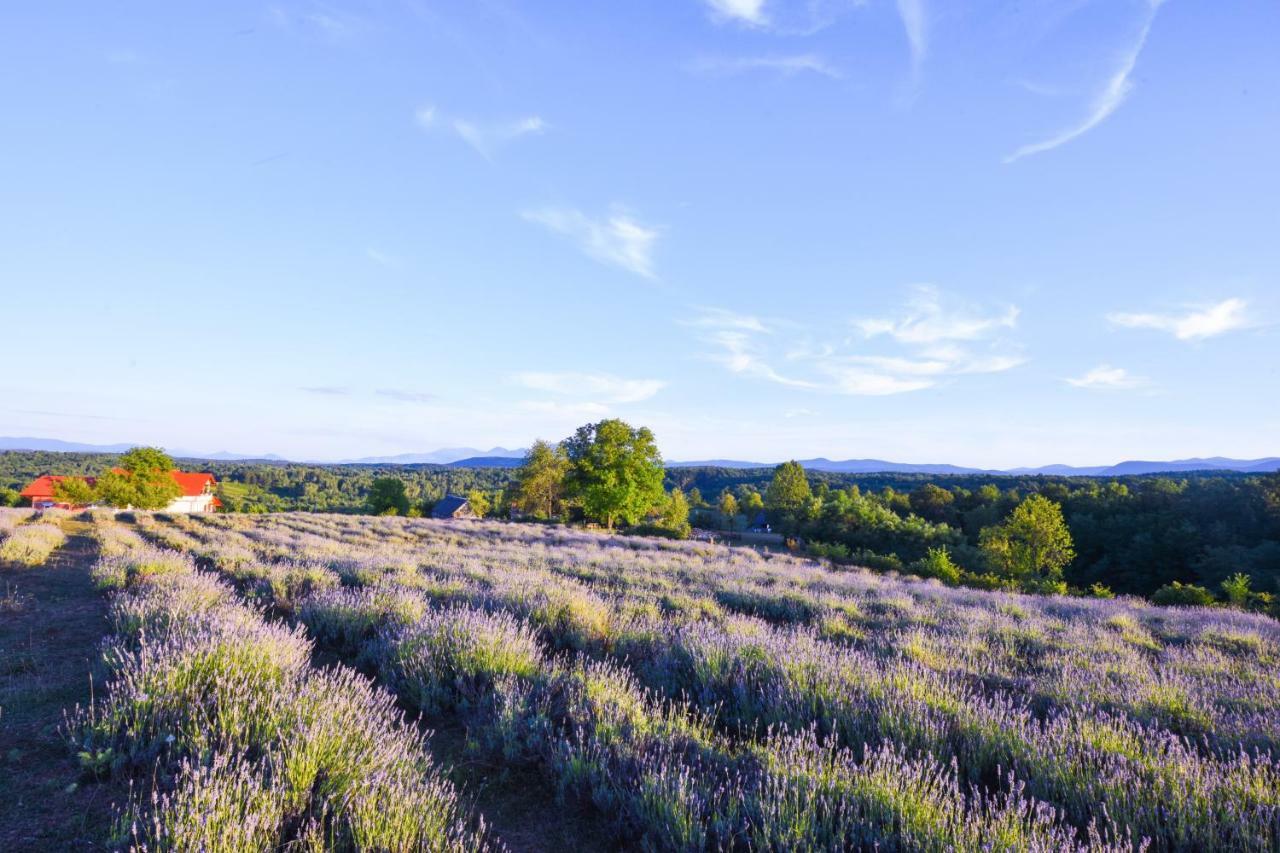 Lavanda Farm Apartmani Rakovica Exterior photo