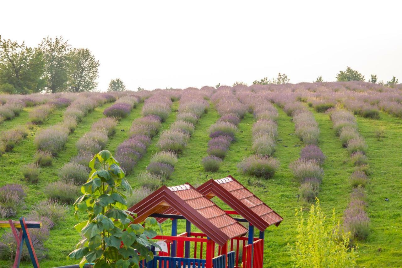 Lavanda Farm Apartmani Rakovica Exterior photo