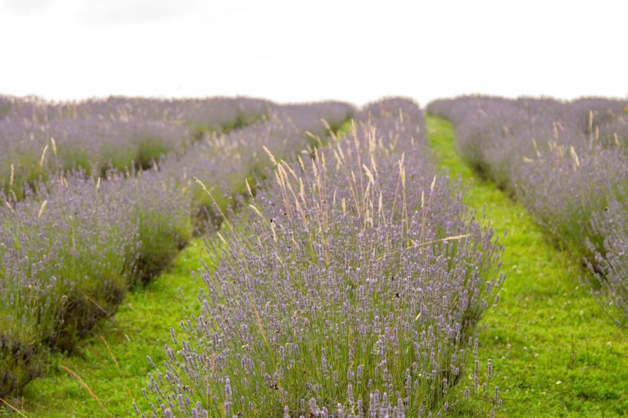 Lavanda Farm Apartmani Rakovica Exterior photo